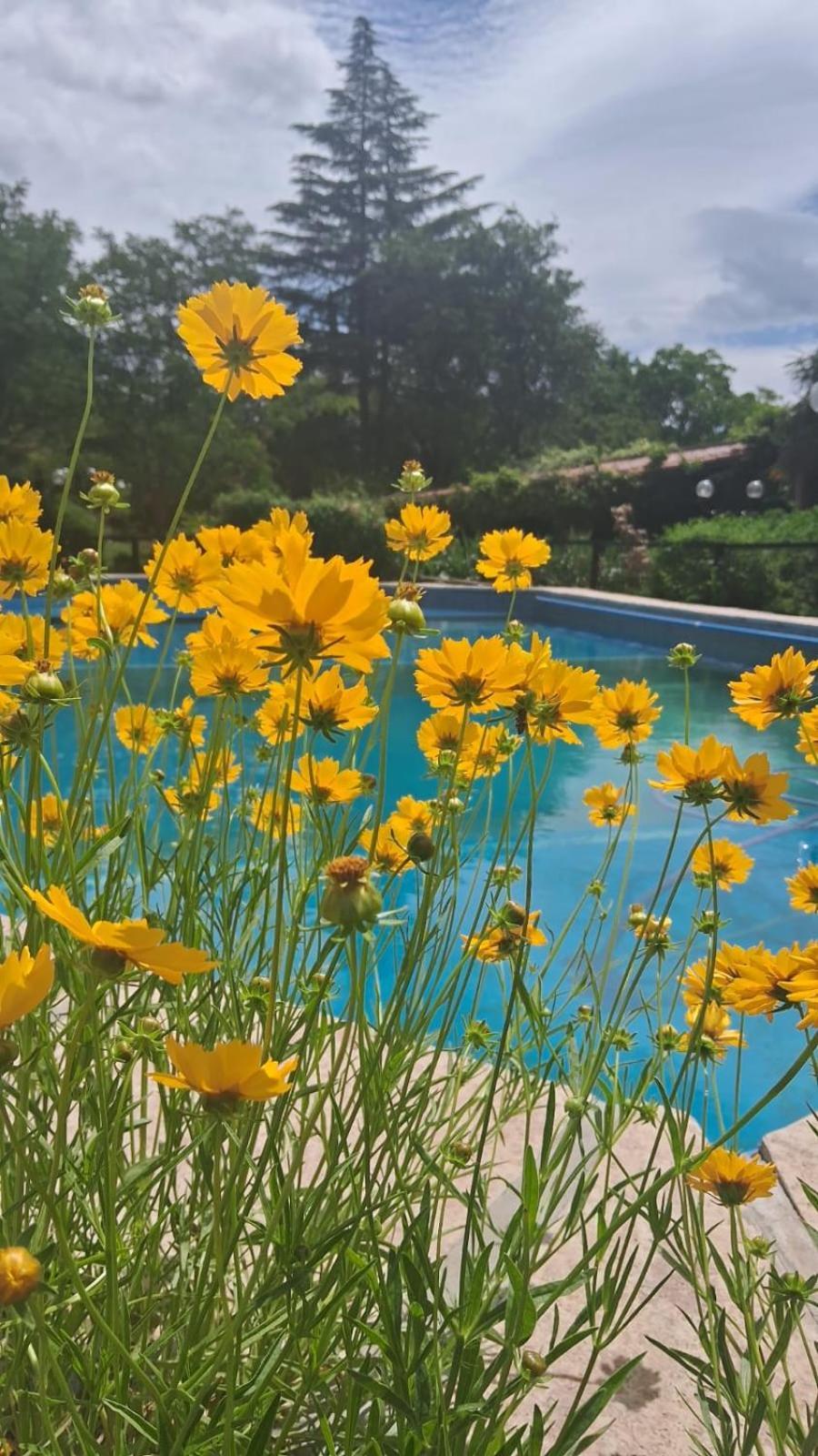 Hosteria Pastoral & Spa Ла-Кумбре Екстер'єр фото